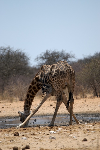 DSC_3218.jpg