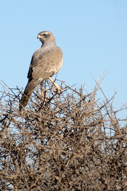 DSC_3359.jpg