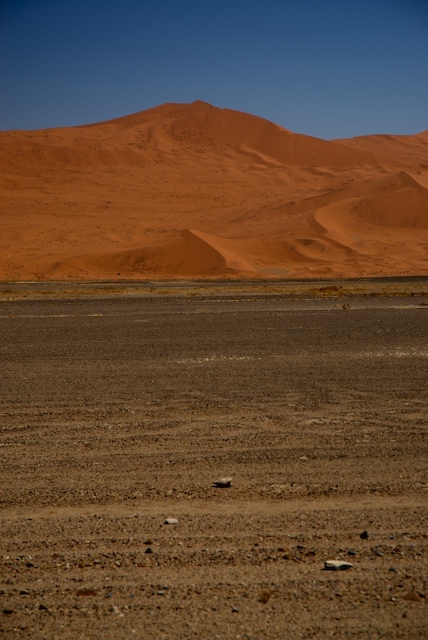 DSC_0945.jpg